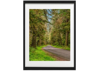 Hoh Rainforest Print: Washington Coastal Landscape Photography (Poster)