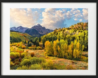 Colorado Aspen Trees-fotografieafdruk: herfstlandschapsdecor (download)
