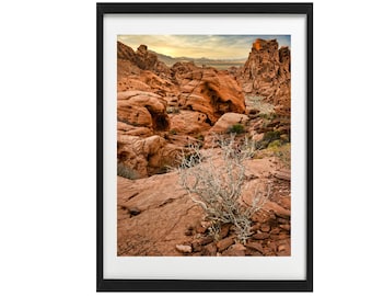 Valley of Fire Nevada Print: Desert Landscape Photography (Digital Download)