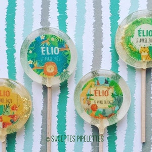 Jungle Lollipops - MINIMUM ORDER of 10 LOLLIPOPS