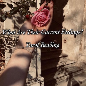 What Are Their Current Feelings? Love Reading Tarot and Oracle- One Question- Same Day Response