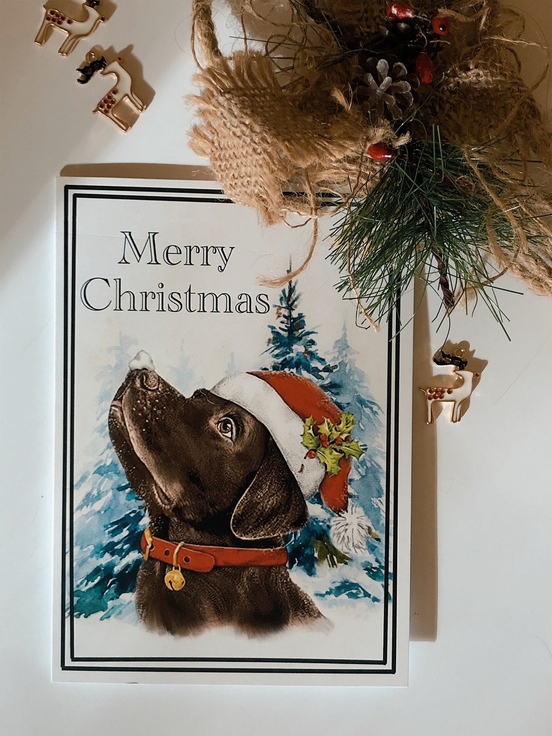 Chocolate Labrador Christmas Cards - Etsy UK