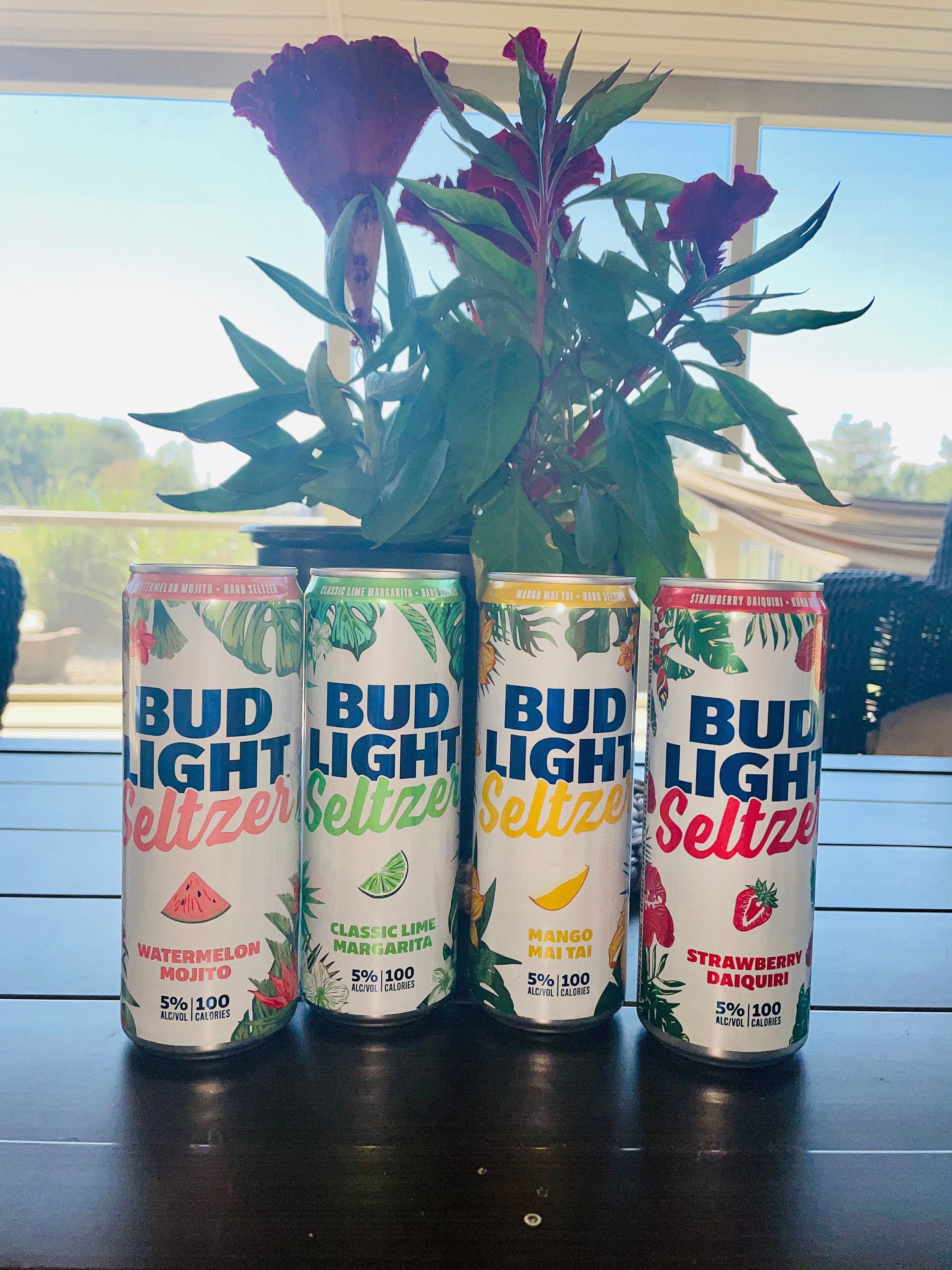 Bud light seltzer Etsy