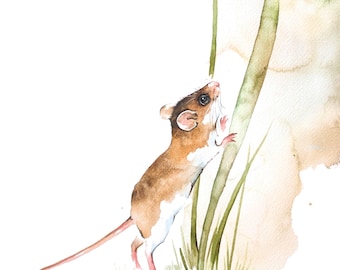 Mouse Watercolor Print 8 x 10 or 11 x 14 inches