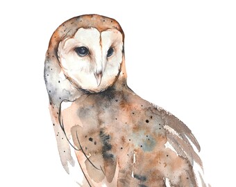 Barn Owl Watercolor Print