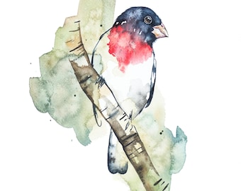 Grosbeak Watercolor Print,