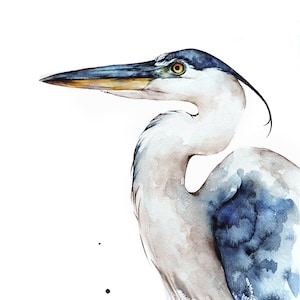 Great blue Heron Print, Bird, Nature art, White, Outdoor, birder, audubon, watercolor