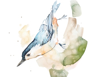 Nuthatch Watercolor Print,