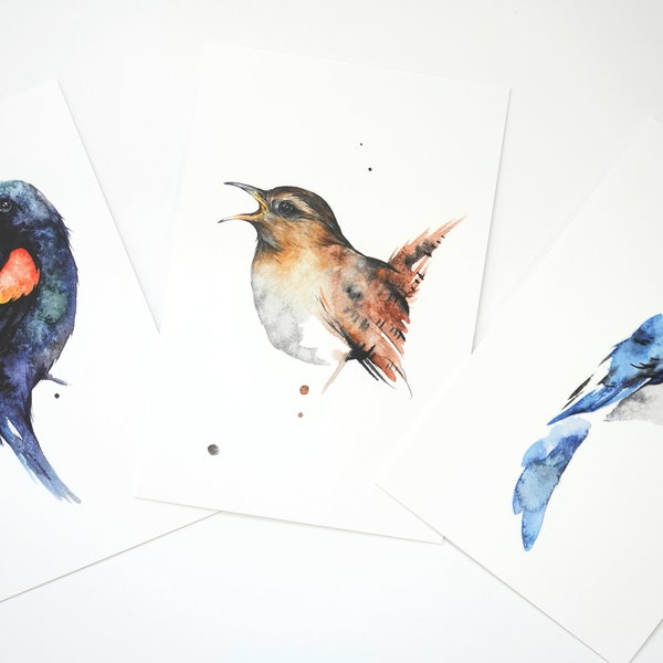 Bird Postcard Set 12