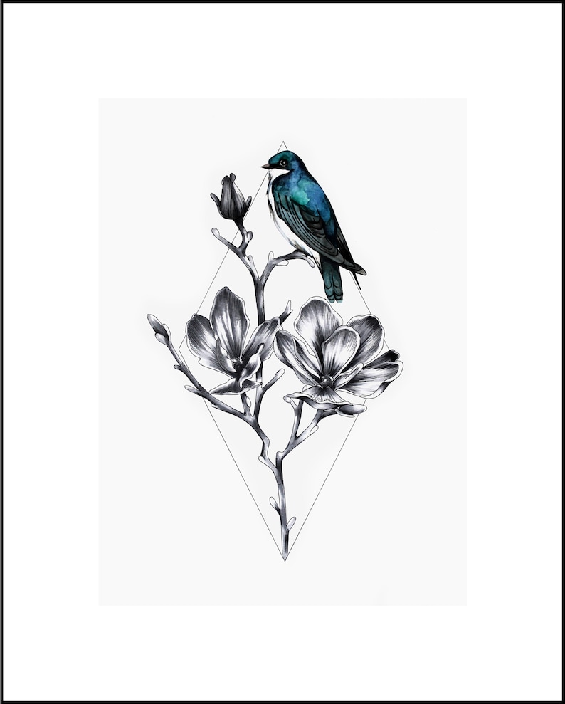 audubon White birder Nature art Bird Outdoor Tree Swallow Watercolor Print watercolor