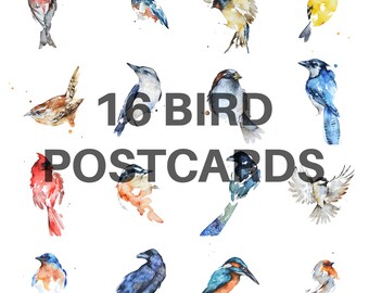 16 PACK BIRD POSTCARDS, mail, bird, postage, birder, mini art, prints, chickadee, warbler,