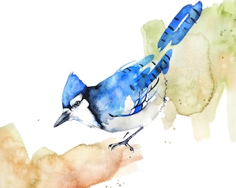 Blue Jay Watercolor Print,