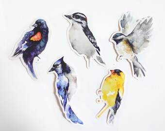 Vinyl Bird Sticker Pack, Downy Woodpecker, Chickadee, Red-wing Blackbird, American Goldfinch , Bluejay
