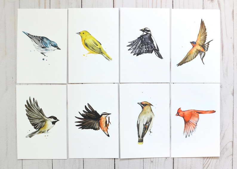 mail warbler mini art birder cedar waxwing postage Bird Postcard Set of 8 or 16 prints woodpecker chickadee bird