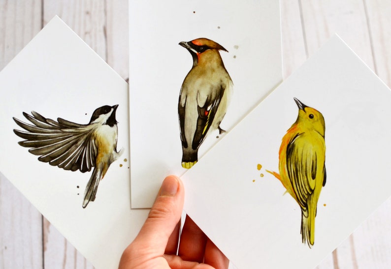mail warbler mini art birder cedar waxwing postage Bird Postcard Set of 8 or 16 prints woodpecker chickadee bird