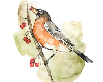 American Robin Watercolor Print,