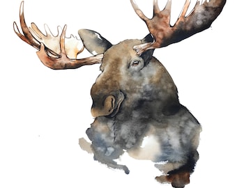 Moose Watercolor Print 11 x 14 or 12 x 16