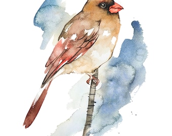 Northern Cardinal Female Watercolor Print,