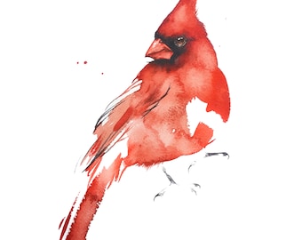 Northern Cardinal Print