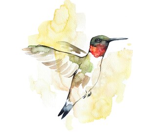 Hummingbird Watercolor Print,