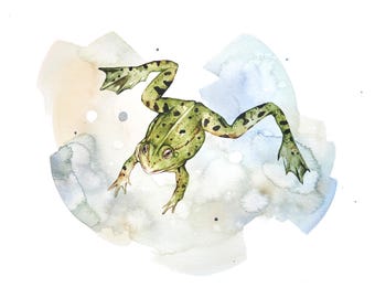 Frog Watercolor Print 14 x 11 or 16 x 12 inches