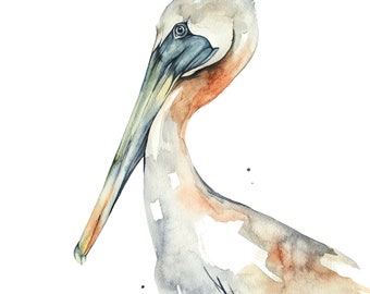 Brown Pelican 12 x 16 inches