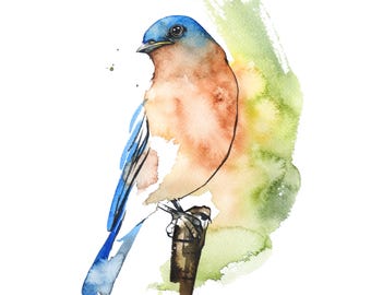 Eastern Blue Bird Watercolor Print,