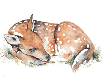 Sleeping Fawn Watercolor Print 11 x 14 inches