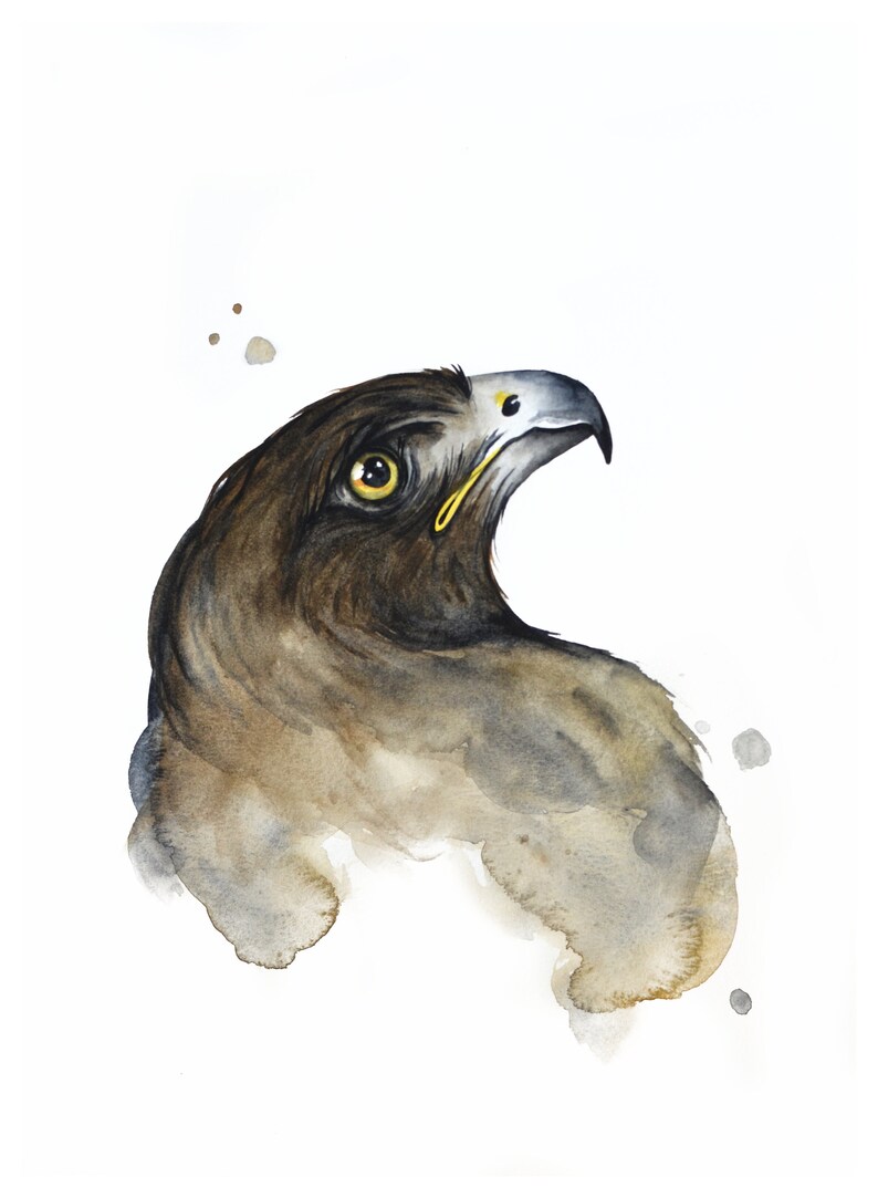 White Hawk 8 x 10 print watercolor audubon birder abstract Bird Outdoor birder Nature art