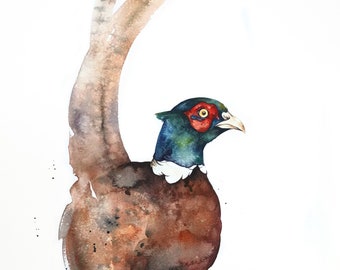 Ring-necked Pheasant Watercolor Print 11 x 14 inches