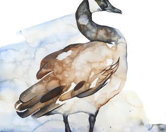 Canada Goose Watercolor Print,