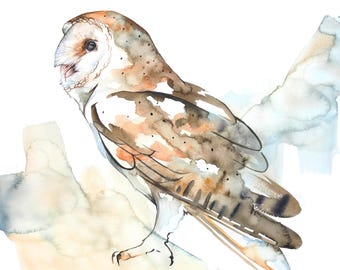Barn Owl Watercolor Print,