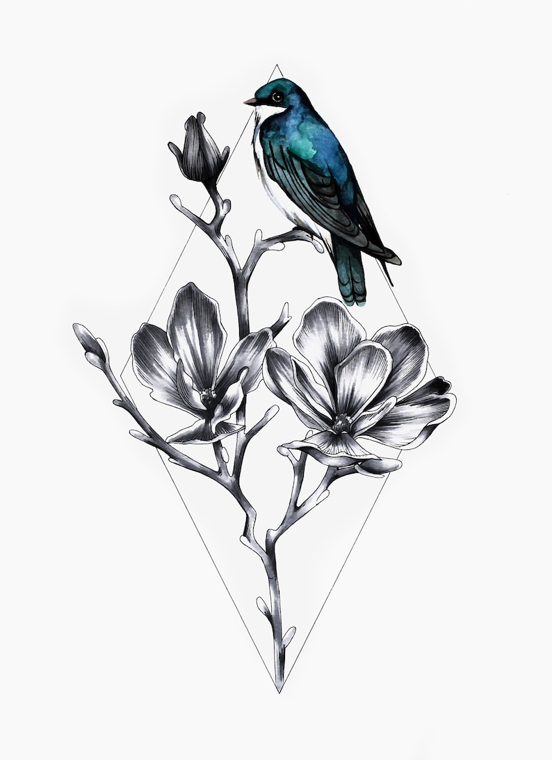 audubon White birder Nature art Bird Outdoor Tree Swallow Watercolor Print watercolor