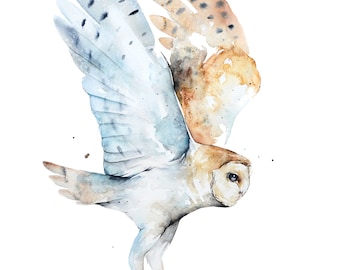 Barn Owl Watercolor Print, Bird, Nature art, White, Outdoor, birder, audubon, watercolor