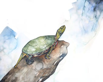 Painted Turtle Watercolor Print 14 x 11 or 16 x 12