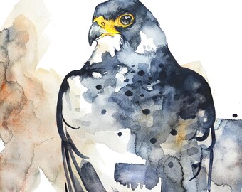 Peregrine Falcon Watercolor Print 11 x 14 or 12 x 16