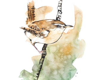 Wren Watercolor Print,