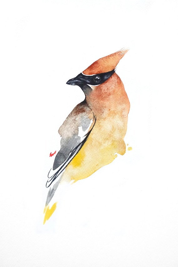 Cedar Waxwing Watercolor Print, Bird, Nature Art, White, Outdoor