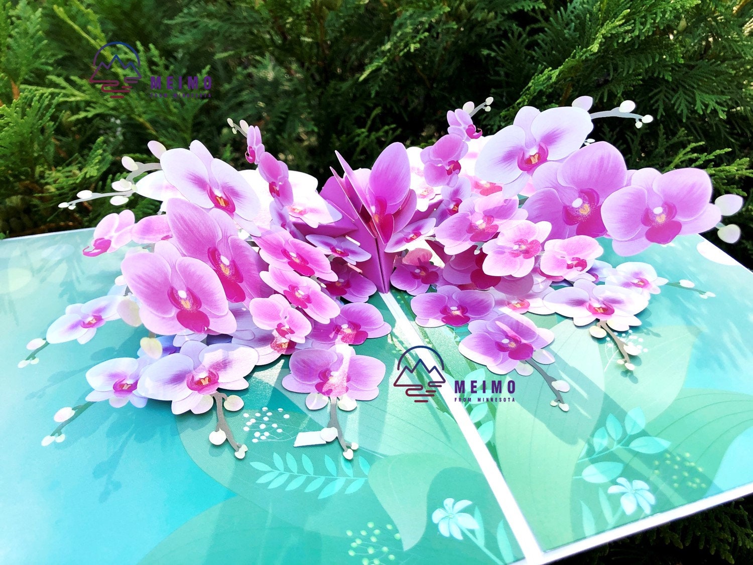 Orchids on Pink Happy Birthday Card - Little Love Press