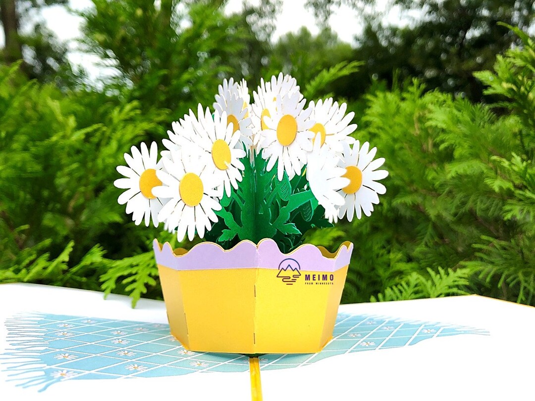 3D Pop up Daisy Card - Floral Greeting for Birthday, Sympathy - Etsy