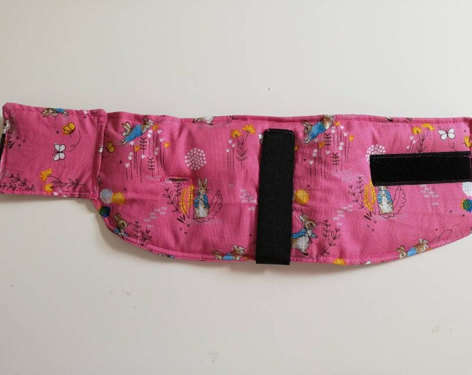 Oesophageal Feeding Tube Collar Medium Dog Etsy