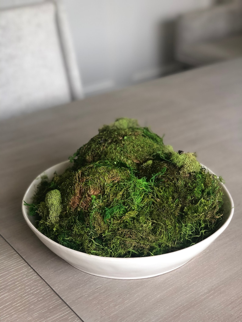 Handcrafted preserved moss bowl Etsy