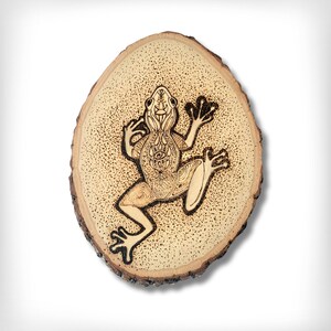 May include: A wood slice with a woodburned design of a frog with intricate details. The frog is in a light brown color and the background is a darker brown.