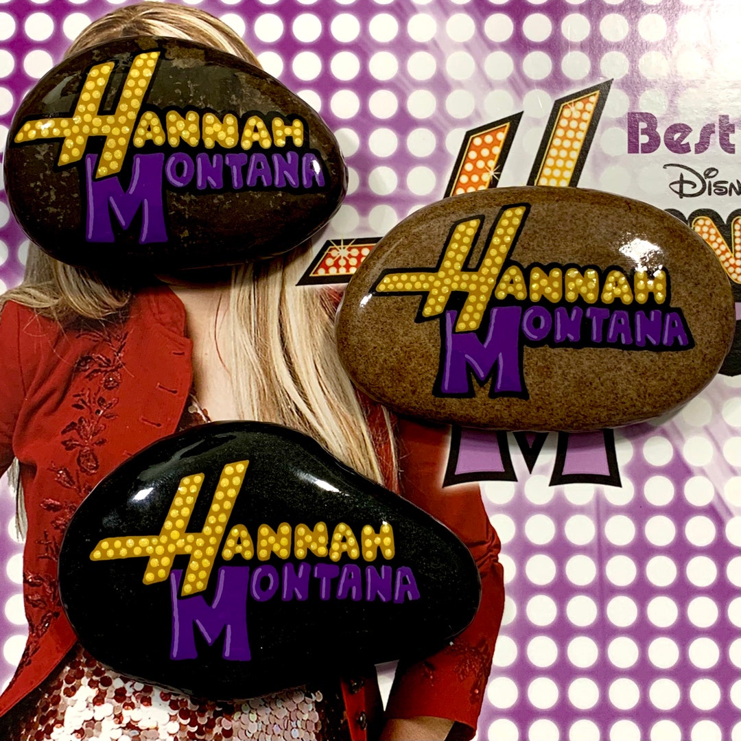 Hannah Montana Hand Painted Colorado Skipper Stone | Stone Art| Rock ...