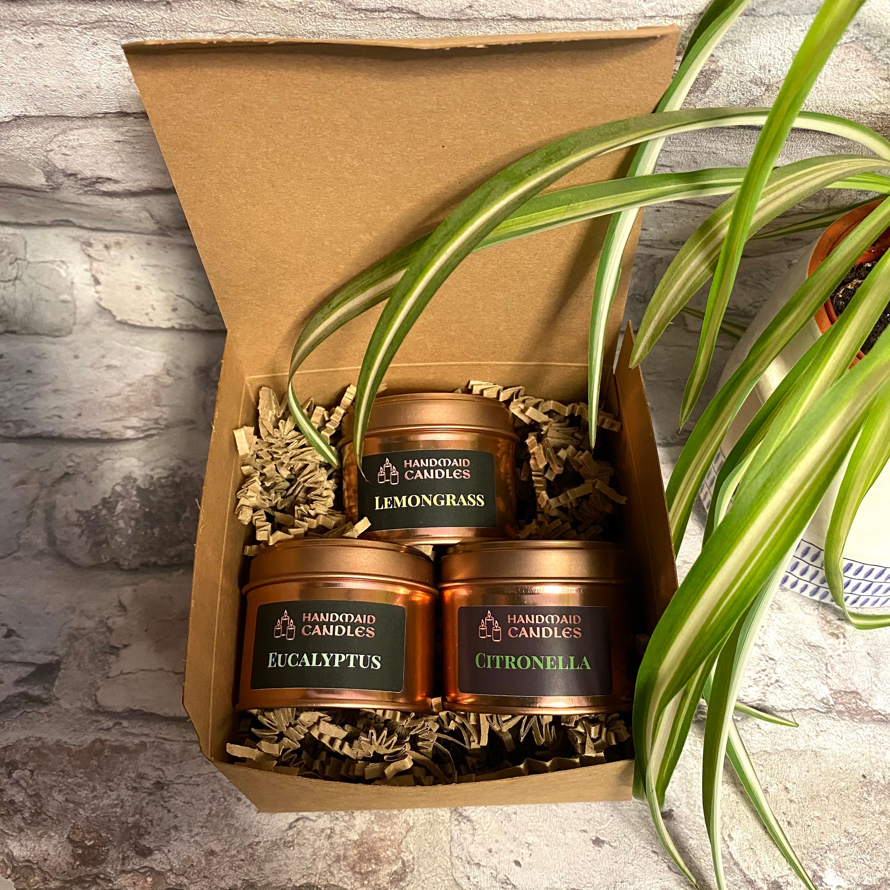 The Garden Collection Candle Gift Set Scented Candles Etsy