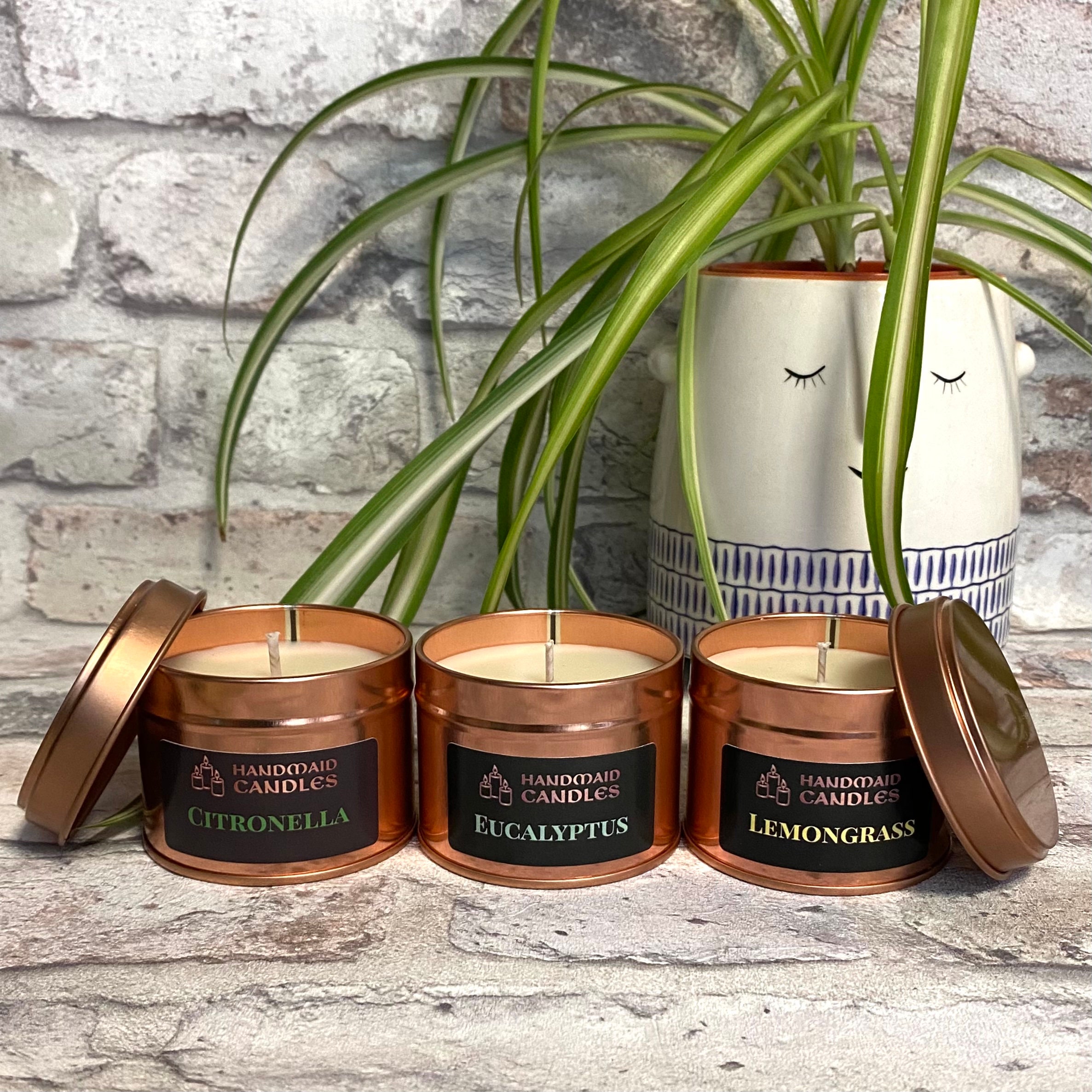 The Garden Collection Candle Gift Set Scented Candles Etsy