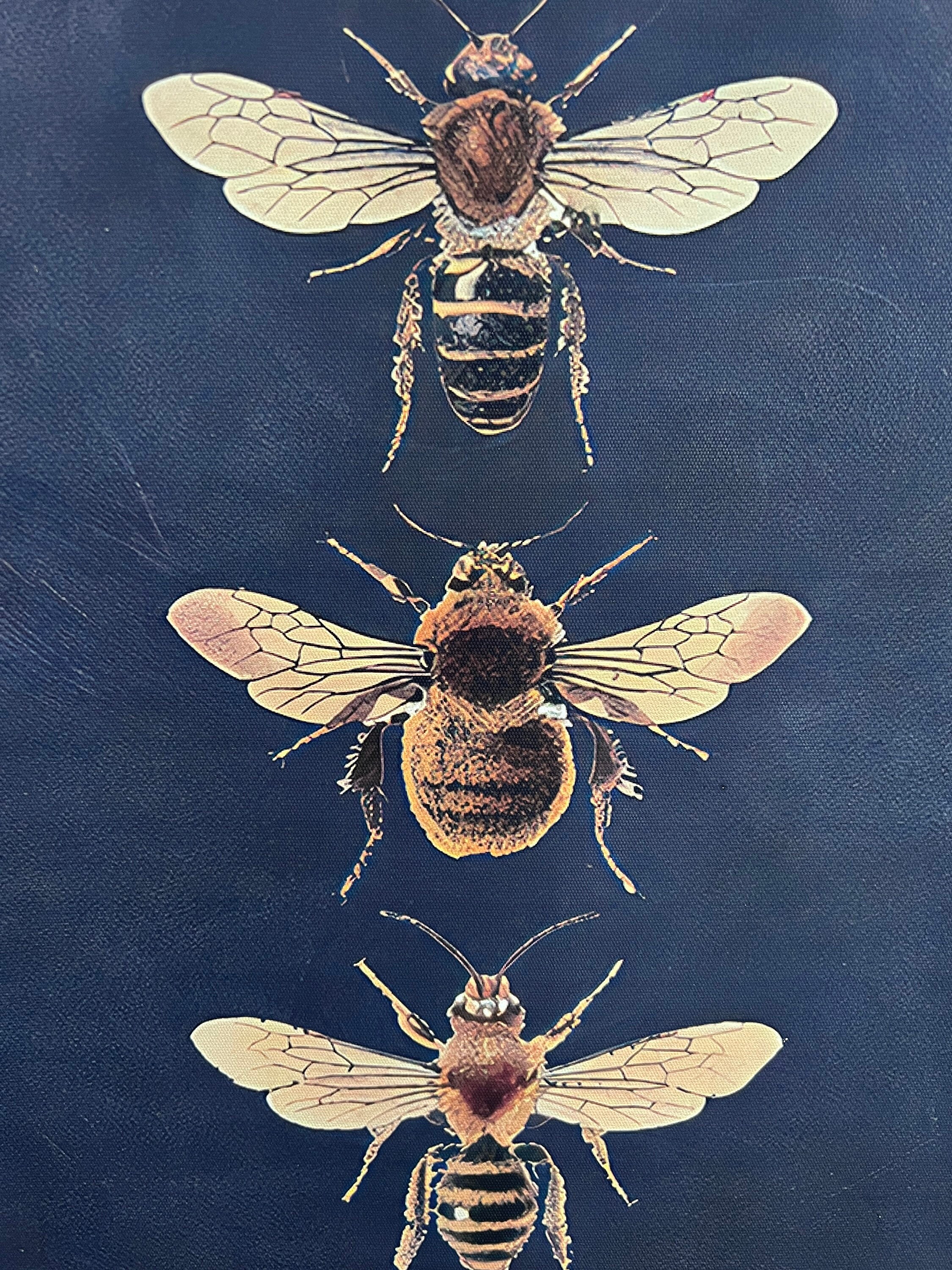 Bee Postser Distressed Bee Poster - Etsy