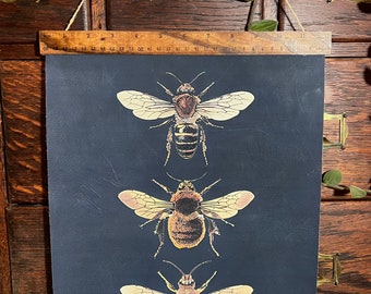 Distressed Bee Poster