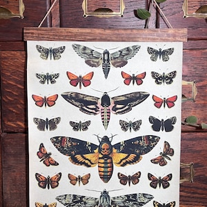 Death Moth Poster