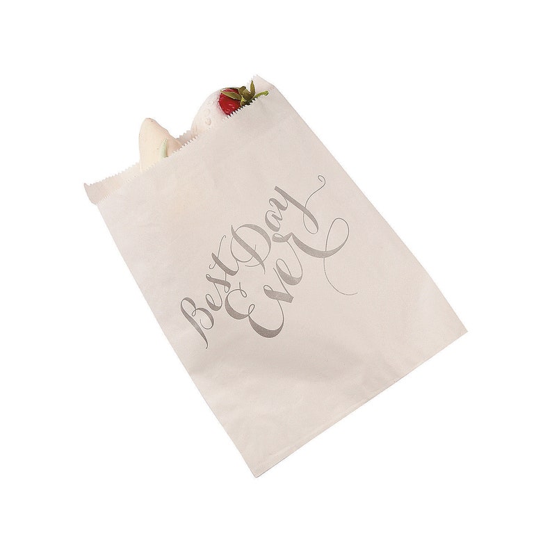 Party Supplies Best Day Ever Treat Bags 50 Pieces